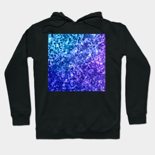 Glitter Hoodie